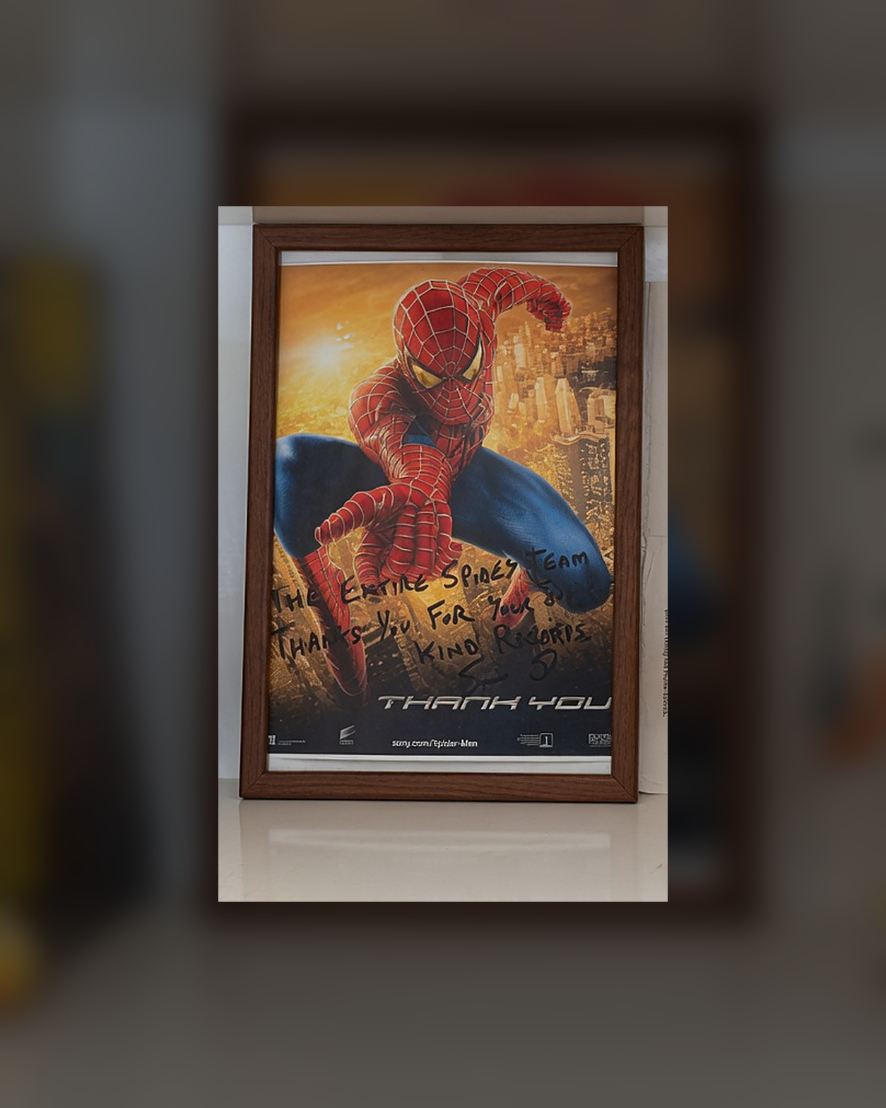The framed Spider-Man (2002) mini poster from the author's shelf